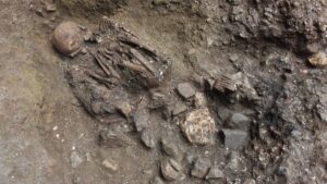Read more about the article 7,100-12 months-Outdated Skeleton Reveals Unknown Human Lineage in China